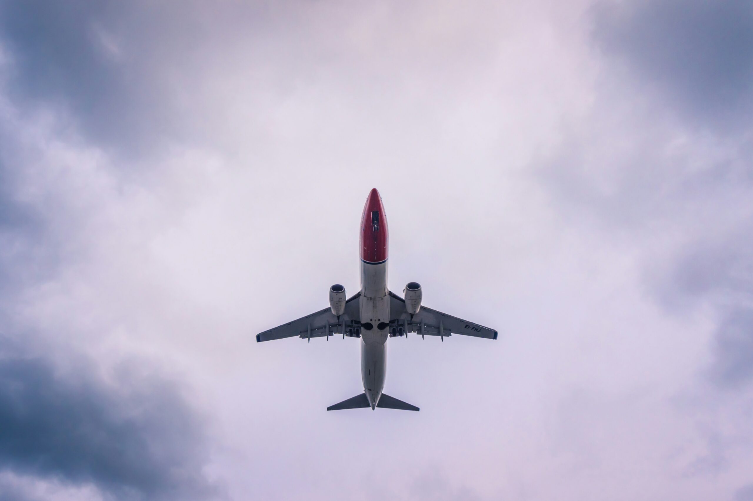 smartphone with travel insurance app