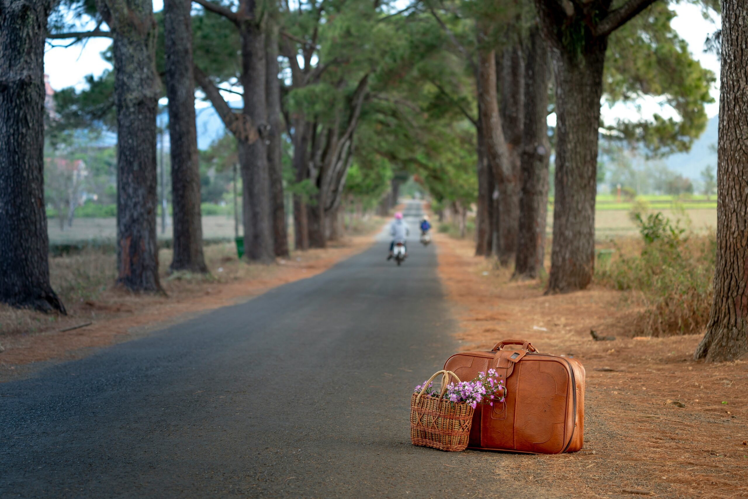 Infographic showing statistics on lost luggage rates globally