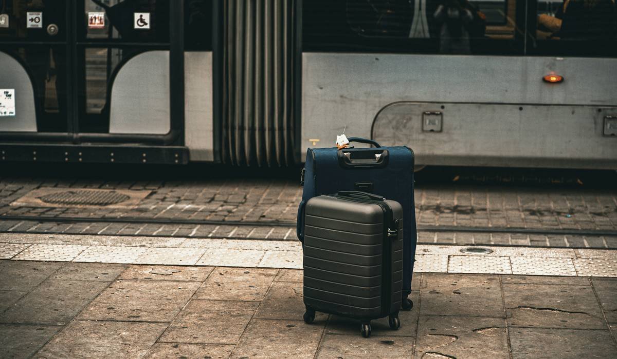A golden retriever sitting next to a suitcase packed for pet travel